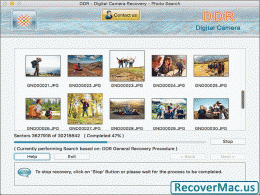 Download Mac Digital Camera Recovery Tool