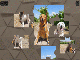 Download Puzzles For Smart Dogs 4.7