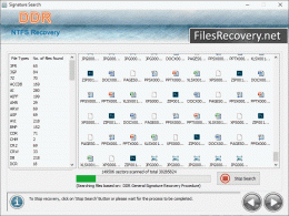 Download Files Recovery
