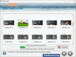 Download Digital Camera Files Recovery 5.3.1.2