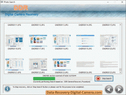 Download Data Recovery Digital Camera