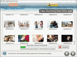 Download Digital Picture Recovery Tool 4.8.4.3