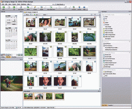 Download ACDSee 8 Photo Manager 8.0