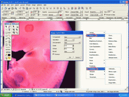 Download Canvas Scientific Imaging Edition (Mac) 9.0.4