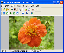 Download AD Picture Viewer