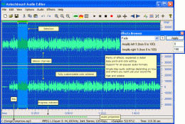 Download Antechinus Audio Editor 2.3
