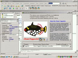 Download Absolute Database 5.01