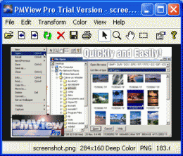 Download PMView Pro